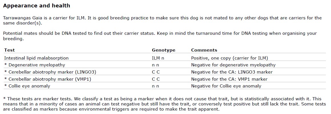DNA test